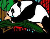 Dibujo Oso panda comiendo pintado por ADRIA4105