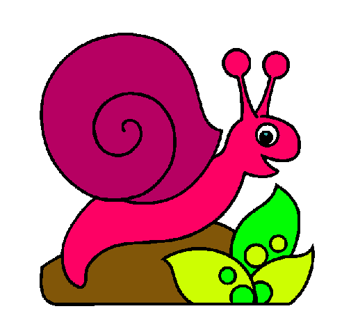 Caracol