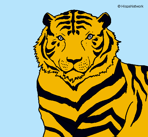 Dibujo Tigre pintado por nancyfabia