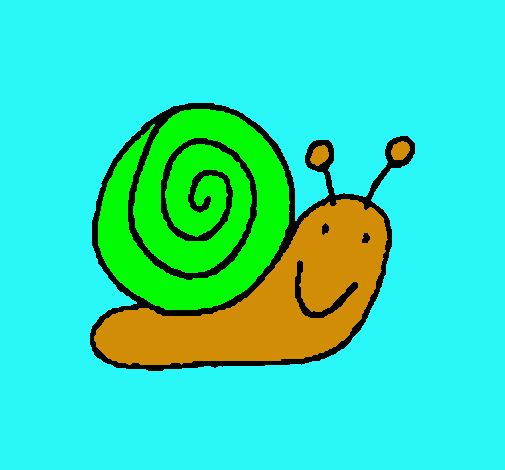 Caracol 4