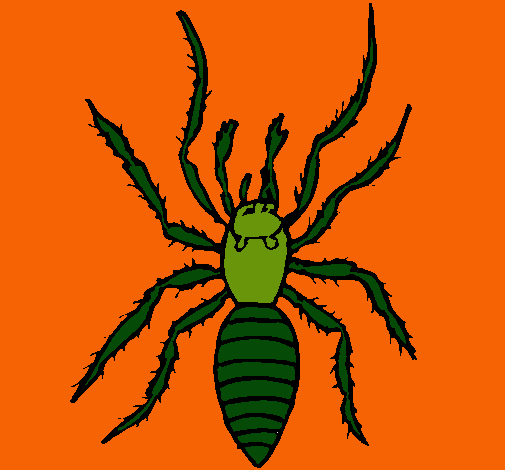 Araña tigre