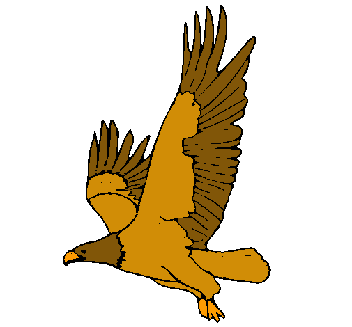 Águila volando