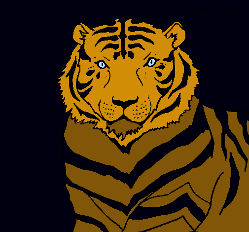 Tigre