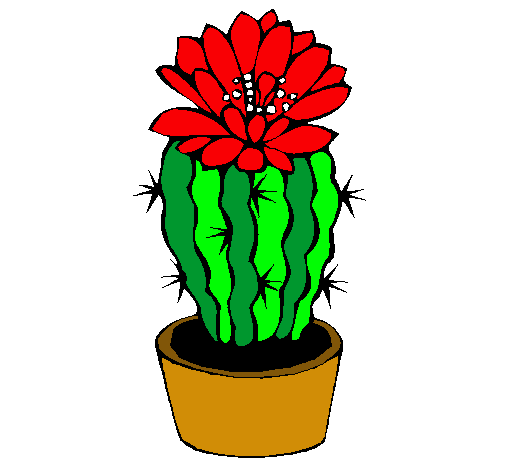 Cactus con flor