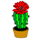 Dibujo Cactus con flor pintado por DIOMI