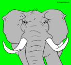 Dibujo Elefante africano pintado por elefante