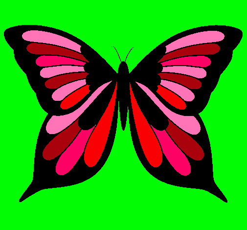 Dibujo Mariposa 8 pintado por ANDREAA