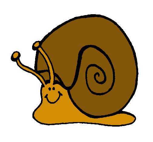 Caracol 