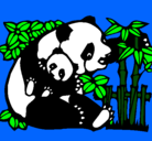 Dibujo Mama panda pintado por pandy 
