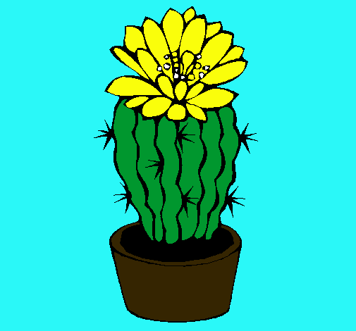 Cactus con flor