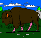 Dibujo Búfalo  pintado por critina