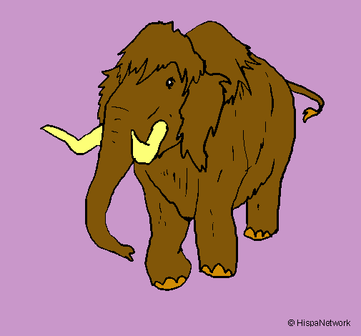 Mamut II