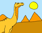 Dibujo Camello pintado por EPEZAS