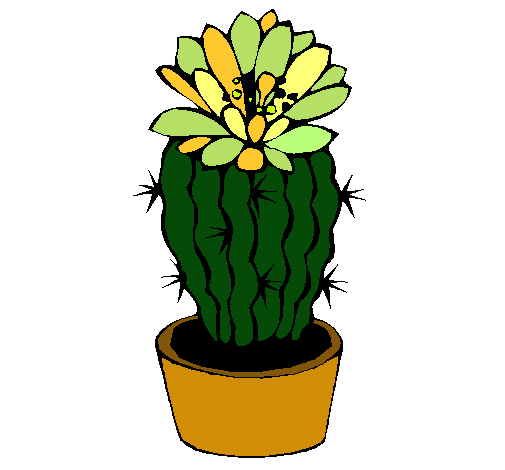 Cactus con flor