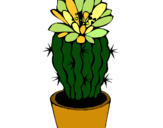 Dibujo Cactus con flor pintado por crisxisca