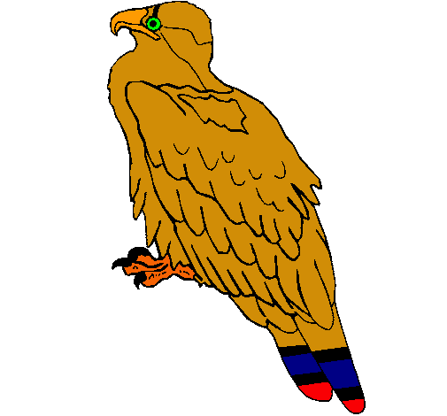 Águila