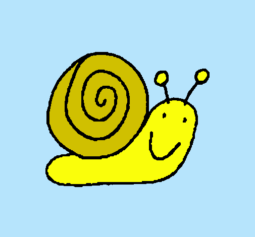 Caracol 4