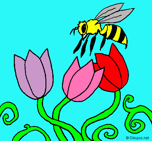 Abeja