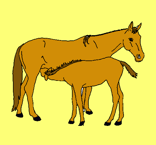 Caballos