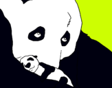 Dibujo Oso panda con su cria pintado por CARRRILLO