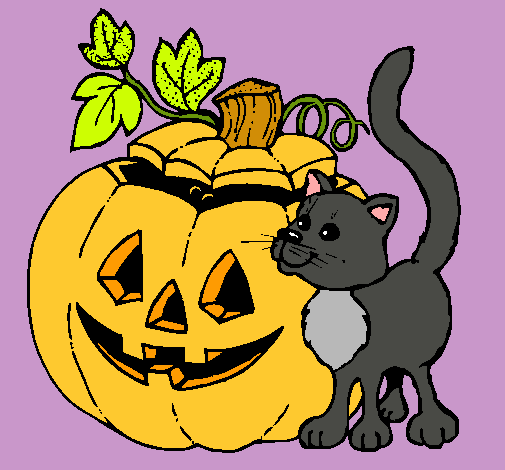 Calabaza y gato