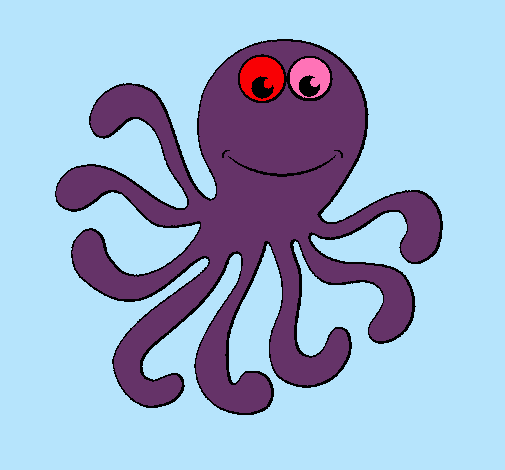 Pulpo 2