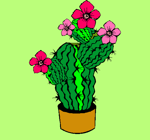 Flores de cactus