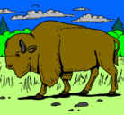 Dibujo Búfalo  pintado por anthonio