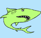Dibujo Tiburón pintado por kkraztunnfor