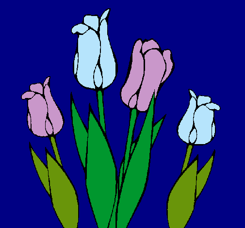 Tulipanes