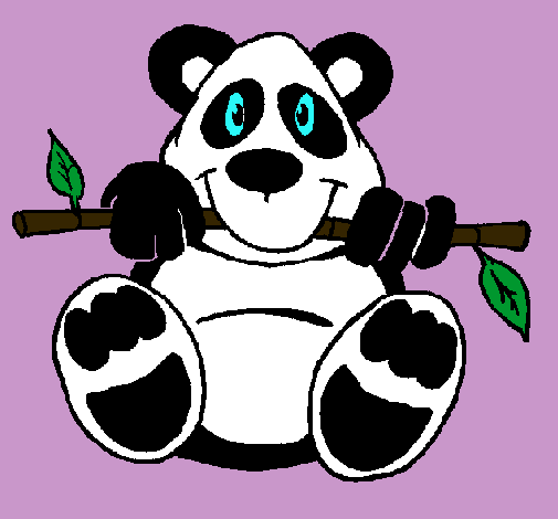 Oso panda