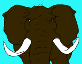 Dibujo Elefante africano pintado por ccrirryfttl