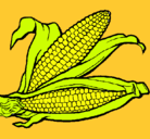 Dibujo Mazorca de maíz pintado por jenhizita 