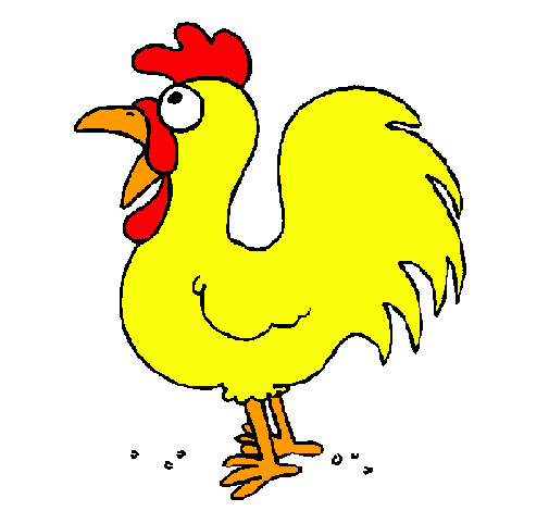 Gallo de granja