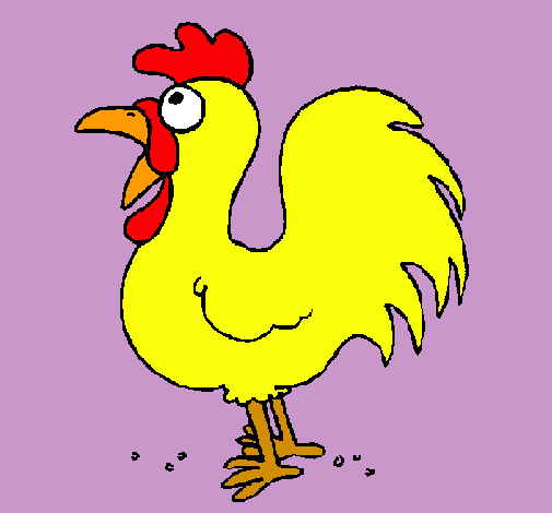 Gallo de granja