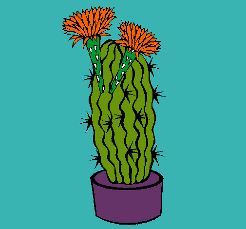 Dibujo Cactus con flores pintado por alimarch