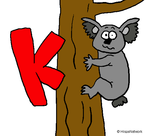 Koala