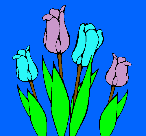 Tulipanes