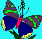 Dibujo Mariposa pintado por Sherryell