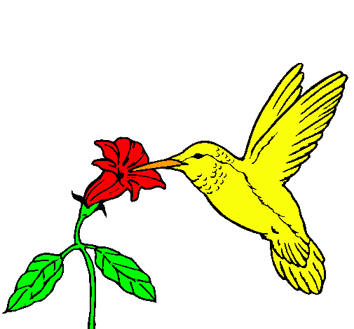 Dibujo Colibrí y una flor pintado por juane