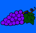 Dibujo racimo pintado por uvas