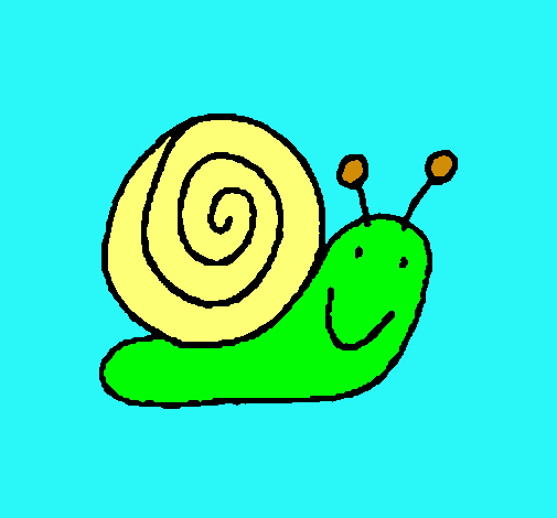 Caracol 4