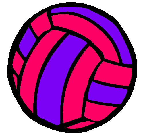 Pelota de voleibol