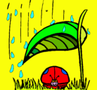 Dibujo Mariquita protegida de la lluvia pintado por JULIARIU