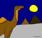 Dibujo Camello pintado por lazaromama