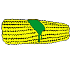 Dibujo Mazorca de maíz pintado por yonatan