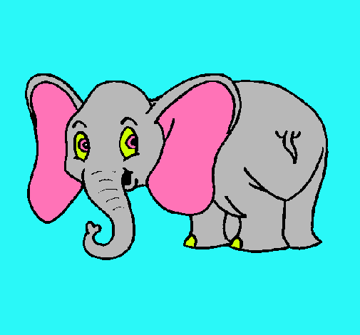 Elefante pequeño