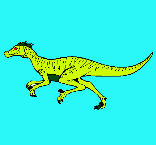 Velociraptor