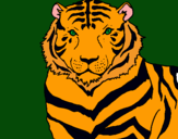 Dibujo Tigre pintado por casla