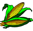 Dibujo Mazorca de maíz pintado por Mike23